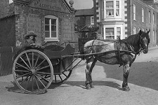 Urban dairies in Victorian times