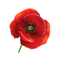 Remembrance poppy