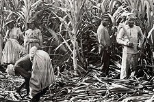 William Bradley of Louth